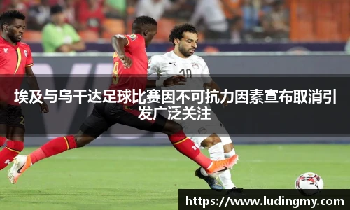 埃及与乌干达足球比赛因不可抗力因素宣布取消引发广泛关注